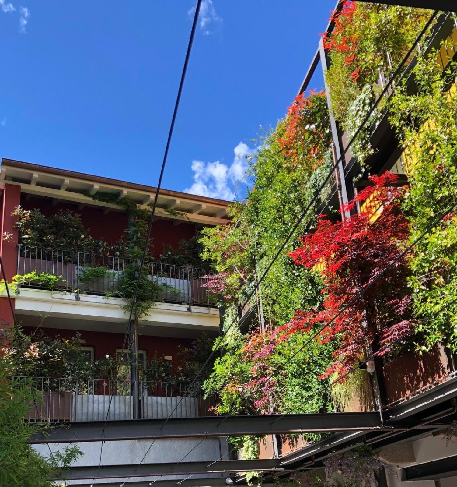 Residence Casa Coppa Appartamento Iris Omegna Zewnętrze zdjęcie